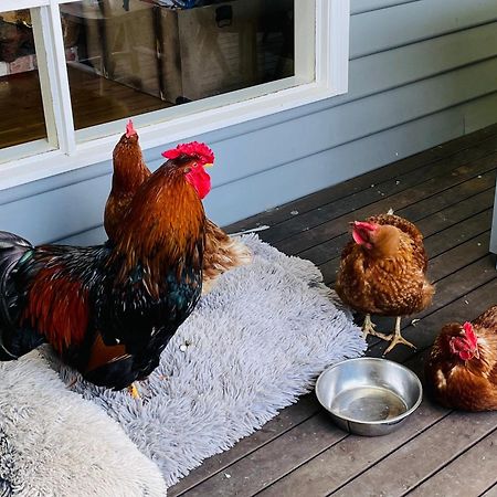Farm Stay Maple Cottage At Wilindi Estate Tyabb Экстерьер фото