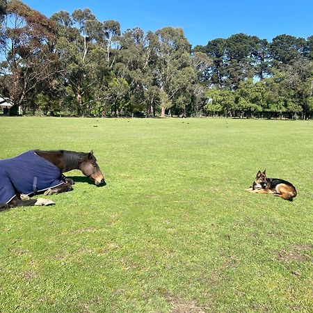 Farm Stay Maple Cottage At Wilindi Estate Tyabb Экстерьер фото